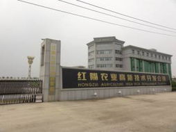 龍頭效應(yīng)驅(qū)動(dòng)下的技術(shù)開(kāi)發(fā) 引領(lǐng)創(chuàng)新與產(chǎn)業(yè)變革